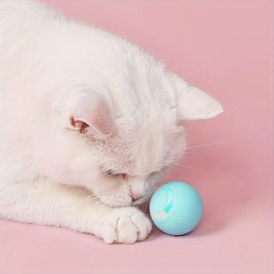 Interactive Rechargeable Cat Ball Toy