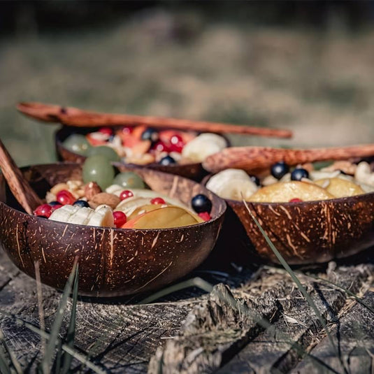 Eco Coconut Bowls Set - 4 Pieces