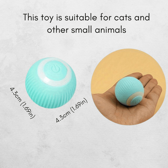 Interactive Rechargeable Cat Ball Toy